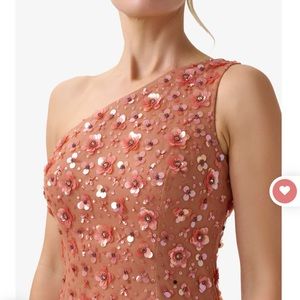 Arianna Papell long dress